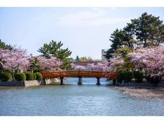 ��،���������܂�̎ʐ^1