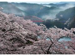 �@���΂̍��̎ʐ^1