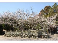 �q���ω����̕s�f���̎ʐ^1