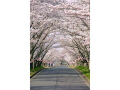 �������������@�������܂�̎ʐ^1