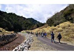 �݂܂��̐X�E�H�[�L���O�u�V��̐X�݂̂܂��Q���n�v�̎ʐ^1