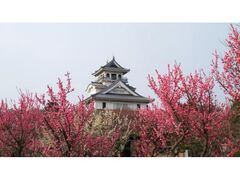 �L�����i���l��j�̔~�̎ʐ^1