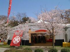 �F���ɂ��킢�s�̎ʐ^1