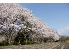 �u���w�̗��v�̍��̎ʐ^1