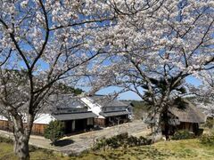 �J�R�����^�������̍��̎ʐ^1