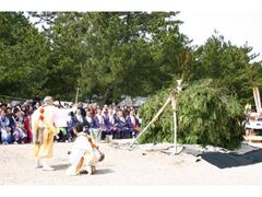 ��ǔ��u�̎ʐ^1