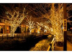 �x�m�R�Θa���򋽁@�����牷��ʂ�C���~�l�[�V�����̎ʐ^1