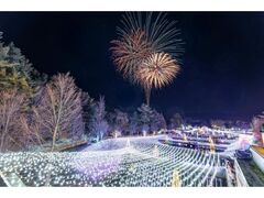 ���c�A���v�X���Â݂̌����@Winter Illumination 2026�i�x���E�䍂�n��j�̎ʐ^1