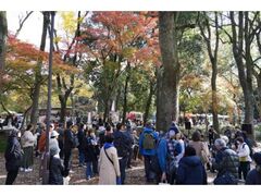 �X�̎�Â���s�`���̂Â���forest�`�H�̓��ʕҁ`�̎ʐ^1
