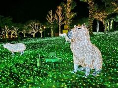 �n�[�x�X�g�̋u�@Wonder Night Hill 2026�|2027�̎ʐ^1
