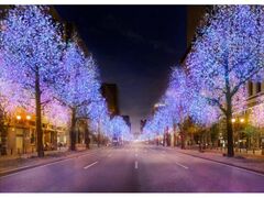 ���E���̋����u�䓰�؃C���~�l�[�V�����v�̎ʐ^1