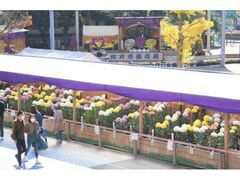 �Ђ炩���e�t�F�X�e�B�o���̎ʐ^1