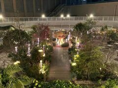 SOL�fs Christmas�̎ʐ^1
