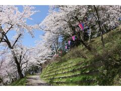 �����R�����̍��̎ʐ^1