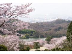 �폼�R���������n�̃A�W�T�C�̎ʐ^1