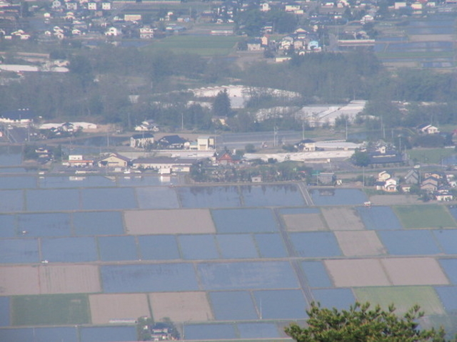 ����R�x�e�W�]��