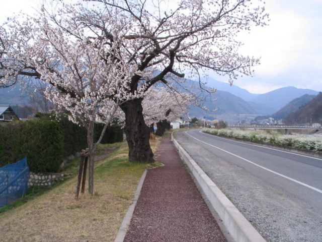 {ԉ@zeʔV̔h̍̓eʐ^1