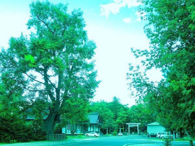 ���앺���L�O��