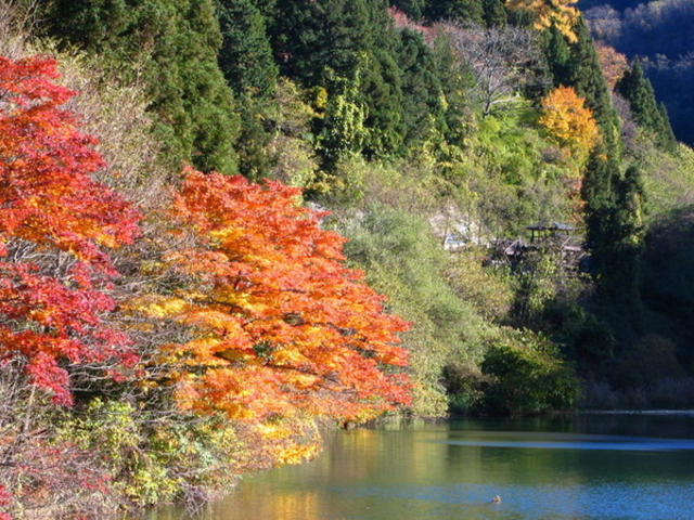 ���{��ԉ���@�z�e���ʔV������̊R�̓��E�������̍g�t�̓��e�ʐ^1