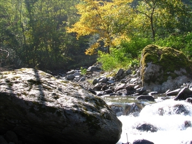 {ԉ@zeʔV̔̍gt̓eʐ^1