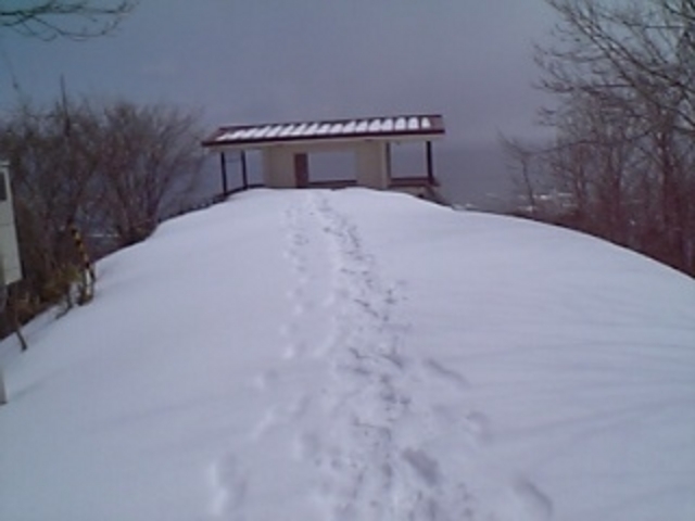 Ƃ񂳂̈W]ӎR̓eʐ^1