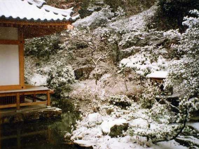 ������񂳂�̐������̓��e�ʐ^1