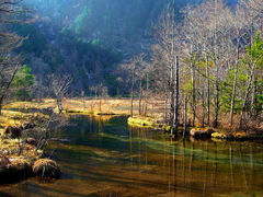 l`r񂳂̓crւ̓eʐ^1