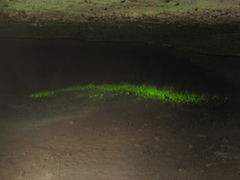 岩村田ヒカリゴケ自生地のクチコミ一覧 - じゃらんnet