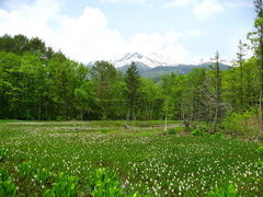 {ԉ@zeʔV̈mnւ̓eʐ^1