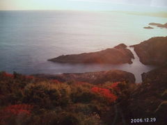 ミカさんの日向岬の投稿写真1