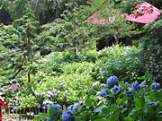 {ԉ@zeʔV̍Ô̓eʐ^1