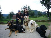 himawari̕PHZgp[N̓eʐ^1