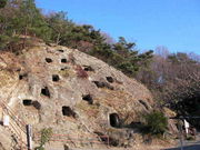 Ђ끚Ђ낳̋gS̓eʐ^1