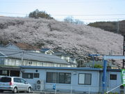 ���{��ԉ���@�z�e���ʔV������̍O�@�R�Õ��̍��̓��e�ʐ^1