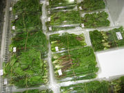 {ԉ@zeʔV̂Ȃό̓eʐ^1