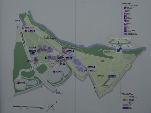 ���c�A���v�X���Â݂̌����@�x���E�䍂�n��