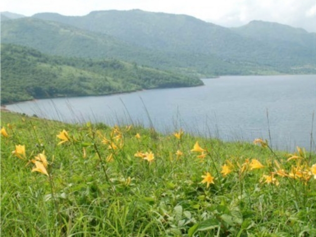 イ񂳂̖씽΂̃m]LXQ̓eʐ^1