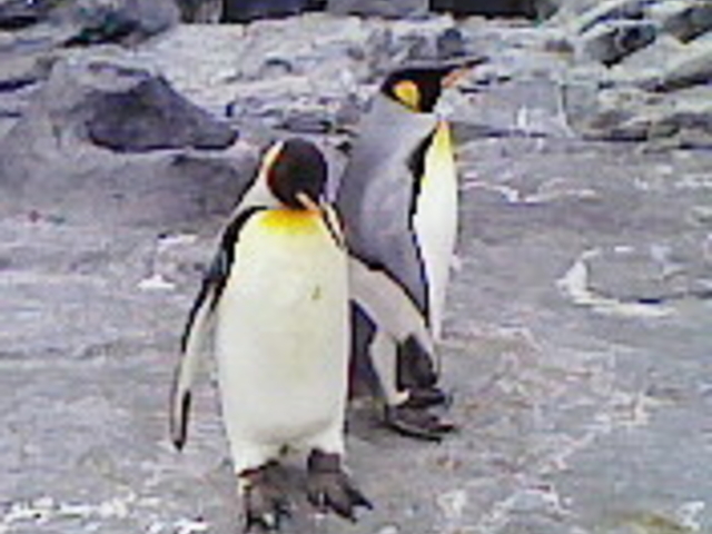 ���R������