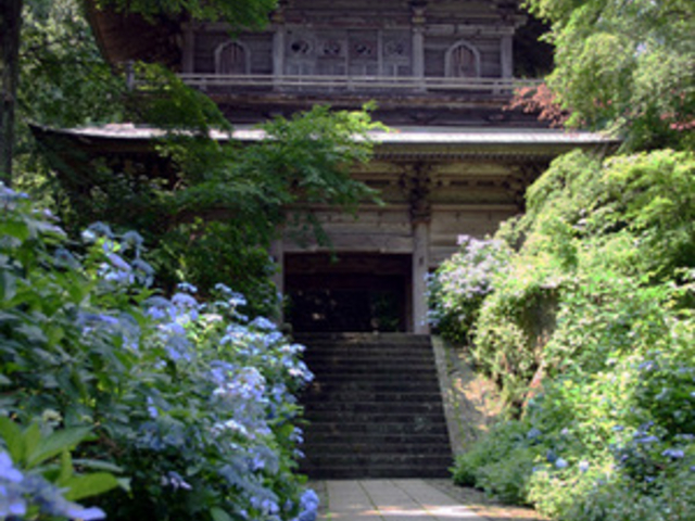 ���񂿂�񂳂�̑הJ���̓��e�ʐ^1