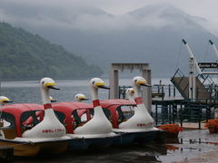 メタボ王子さんの中禅寺湖遊覧船への投稿写真1