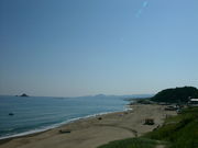 �X�G�X�G����̔��e�C������̓��e�ʐ^1