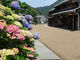 ももちゃんさんの熊川宿への投稿写真3