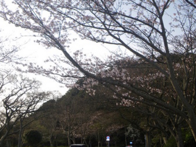 �߂�������̍�