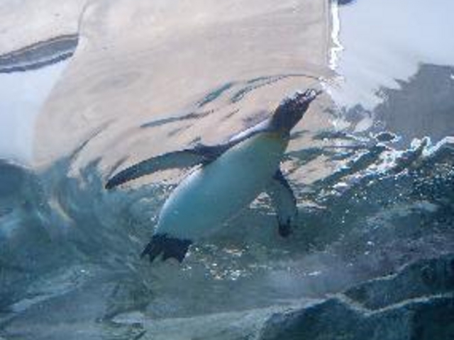 ���R������