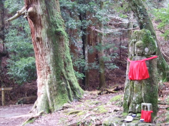 ���C���R����