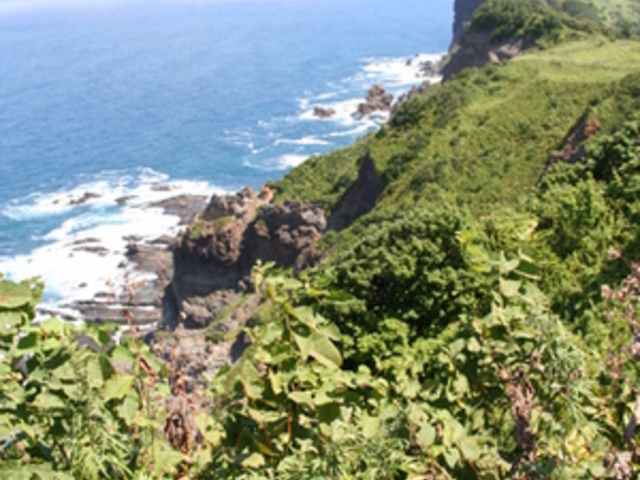 �����ӊC��