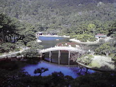 �݂�����񂮂݂₿���搶����̌I�ь����ւ̓��e�ʐ^1