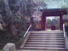 �����͂�����̌������ւ̓��e�ʐ^1