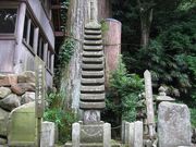 ryuji92jp̐Α\Od̓eʐ^1