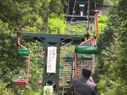 XX̗όtginktgj̓eʐ^1